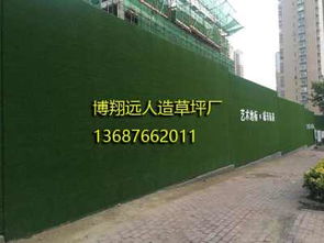 資興 醫(yī)院仿真草坪 新聞