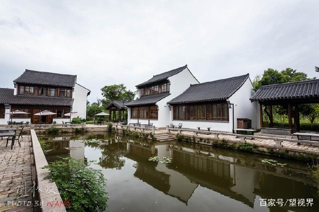 蘆蕩唱晚，夜宿沙家浜，嘗陽澄湖大閘蟹，枕著蟲鳴入睡(圖6)